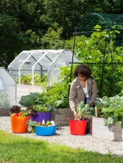 3-Season Plant Protection Tent, 3' X 6' -GardenPro Shop 35 592 0181 1