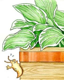 Copper Slug Tape -GardenPro Shop 38 994 b