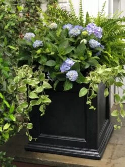 Fairfield Self-Watering Square Planter, 20” X 20” -GardenPro Shop 39 618 205V tif