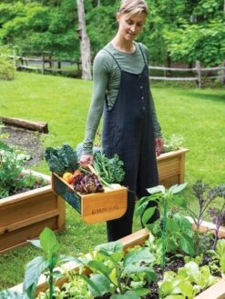 Garden Hods -GardenPro Shop 39 761 0146 tif