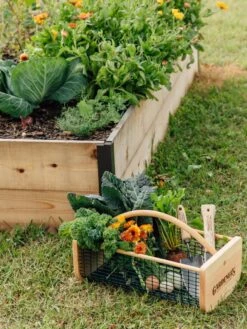 Garden Hods -GardenPro Shop 39 761 572 tif