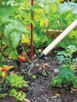 Gardener's Lifetime Long-Handled Double Tool -GardenPro Shop 3 4 crop 8592107 2460 tif
