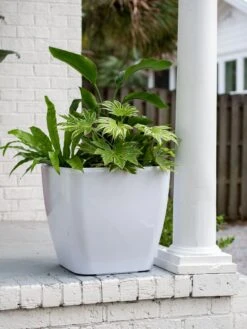 Viva Square Self-Watering Rolling Planter, 20" Diameter, Set Of 2 -GardenPro Shop 3 4 crop 8612930 0033 tif