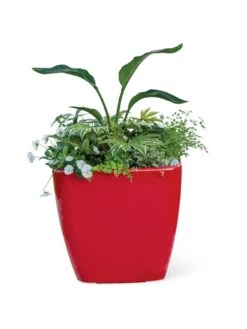 Viva Square Self-Watering Rolling Planter, 20" Diameter, Set Of 2 -GardenPro Shop 3 4 crop 8612930 0037 tif