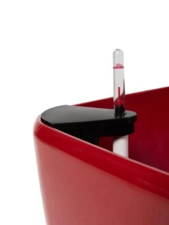 Viva Square Self-Watering Rolling Planter, 20" Diameter, Set Of 2 -GardenPro Shop 3 4 crop 8612930 0107