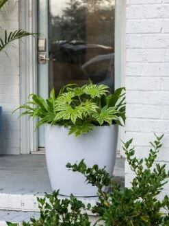 Viva Round Self-Watering Rolling Planter, 20" Diameter, Set Of 2 -GardenPro Shop 3 4 crop 8612933 0025 tif