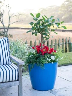 Viva Round Self-Watering Rolling Planter, 20" Diameter, Set Of 2 -GardenPro Shop 3 4 crop 8612933 5312 tif