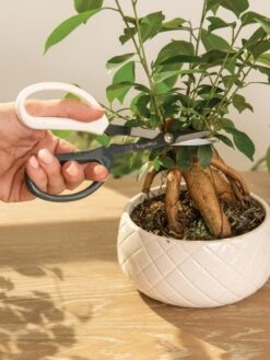 Japanese Pruning Scisssors -GardenPro Shop 3 4 crop 8612968 0087