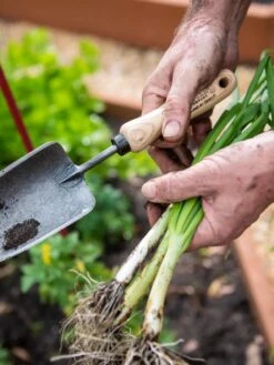 Gardener's Lifetime Trowel -GardenPro Shop 8586972 3286 tif