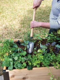 Gardener's Lifetime Raised Bed Trowel -GardenPro Shop 8588014 4084 tif