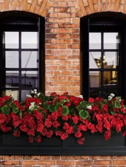 Fairfield Self-Watering Window Box, 5’ -GardenPro Shop 8588938 102V tif