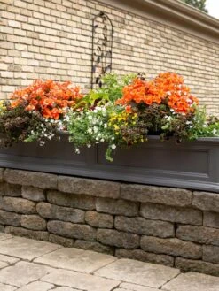 Fairfield Self-Watering Window Box, 5’ -GardenPro Shop 8588938 105V tif