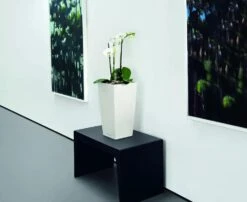 Lechuza® Cubico Color Tall Self-Watering Planters -GardenPro Shop 8589485 03V tif