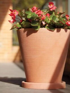 Universal Round Planter Saucers 7 Universal Round Planter Saucers -GardenPro Shop 8589526 001V tif