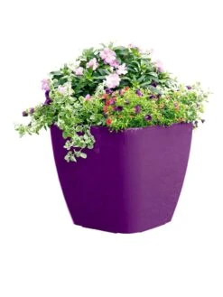 Viva Square Self-Watering Rolling Planter, 17.5" Diameter -GardenPro Shop 8589778PR 6126 tif
