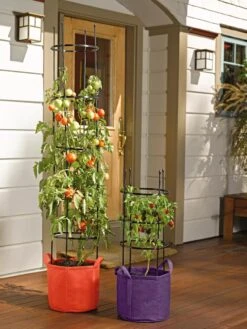 Gardener's Best® Tomato Grow Bag Set -GardenPro Shop 8590013 170 tif