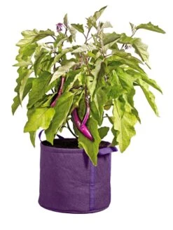 Gardener's Best® Universal Grow Bag -GardenPro Shop 8590024PR 214 tif