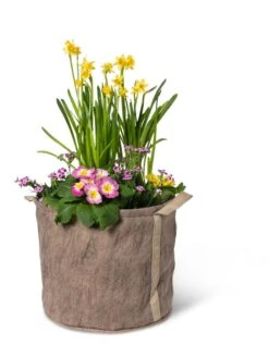 Gardener's Best® Universal Grow Bag -GardenPro Shop 8590024 7307 tif