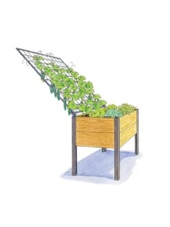 Elevated Planter Box And Space-Maker Pivoting Trellis Set, 2' X 4' -GardenPro Shop 8590247 SMTrellis 4ft tif