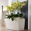 Lechuza® Cararo Rectangular Indoor Planter With Casters