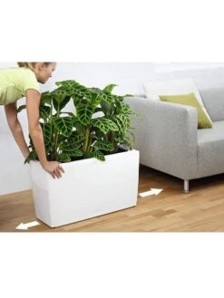 Lechuza® Cararo Rectangular Indoor Planter With Casters 8 Lechuza® Cararo Rectangular Indoor Planter With Casters -GardenPro Shop 8590295 03v