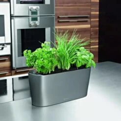 Lechuza® Delta Self-Watering Windowsill Planters -GardenPro Shop 8590298 02V tif