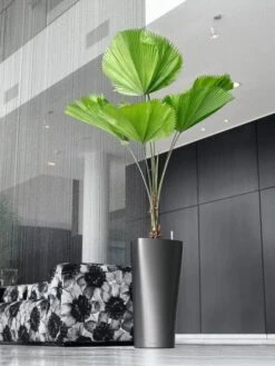 Lechuza® Delta Premium Self-Watering Planters 11 Lechuza® Delta Premium Self-Watering Planters -GardenPro Shop 8590299 02V tif