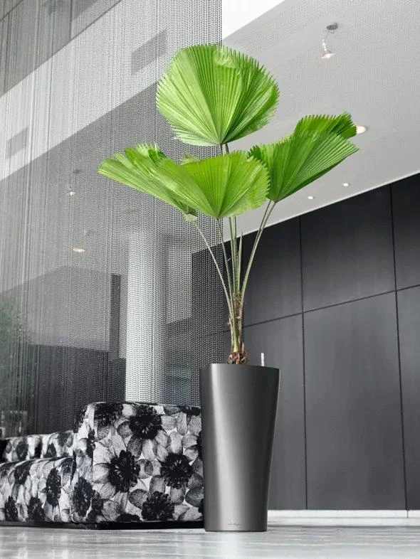 Lechuza® Delta Premium Self-Watering Planters 6 Lechuza® Delta Premium Self-Watering Planters - Image 6