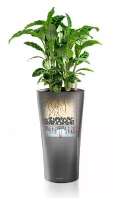 Lechuza® Delta Premium Self-Watering Planters 8 Lechuza® Delta Premium Self-Watering Planters -GardenPro Shop 8590299 05V tif