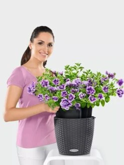 Lechuza® Nido Cottage Wicker Hanging Planter -GardenPro Shop 8591154GT 006V tif