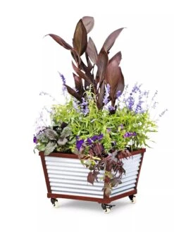 Galvanized Self-Watering Planters -GardenPro Shop 8592176 5067 tif