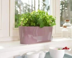 Lechuza® Delta Self-Watering Windowsill Planters -GardenPro Shop 8592361 01V tif
