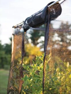 Storm Proof Crop Cage, Large -GardenPro Shop 8592463 115 tif