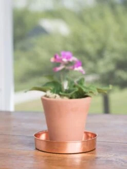 Extra Small Round Copper Plant Tray, 8" 12 Extra Small Round Copper Plant Tray, 8" -GardenPro Shop 8593528 4522 tif