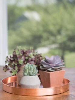 Large Round Copper Plant Tray, 14" 11 Large Round Copper Plant Tray, 14" -GardenPro Shop 8593531 4518 tif