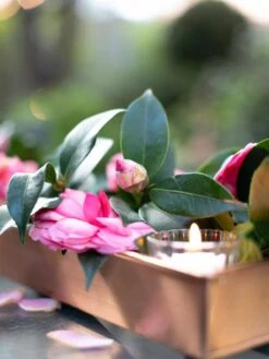 Rectangular Copper Plant Tray, 18"x4" 7 Rectangular Copper Plant Tray, 18"x4" -GardenPro Shop 8593532 02IN tif