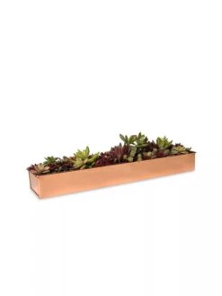 Rectangular Copper Plant Tray, 18"x4" 6 Rectangular Copper Plant Tray, 18"x4" -GardenPro Shop 8593532 2892 tif