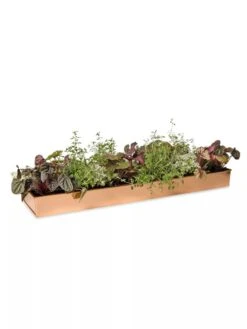 Rectangular Copper Plant Tray, 24" X 5" -GardenPro Shop 8593533 2878 tif