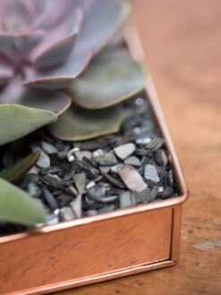 Rectangular Copper Plant Tray, 24" X 5" -GardenPro Shop 8593533 4570 tif