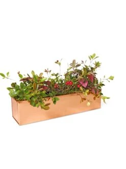 Tall Rectangular Copper Plant Tray, 18" X 5" X 4" 8 Tall Rectangular Copper Plant Tray, 18" X 5" X 4" -GardenPro Shop 8593534 2899 tif