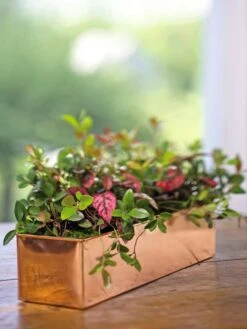 Tall Rectangular Copper Plant Tray, 18" X 5" X 4"