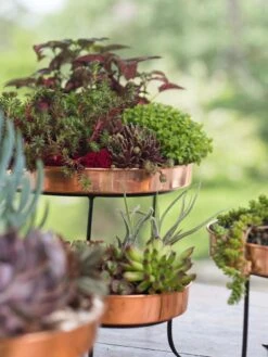 Small Round Copper Plant Tray, 10" -GardenPro Shop 8593564 4399 tif