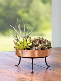 Extra Small Round Copper Plant Tray, 8" 13 Extra Small Round Copper Plant Tray, 8" -GardenPro Shop 8593564 4641 001E tif