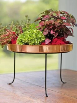 Large Round Copper Plant Tray, 14" 12 Large Round Copper Plant Tray, 14" -GardenPro Shop 8593567 4636 tif