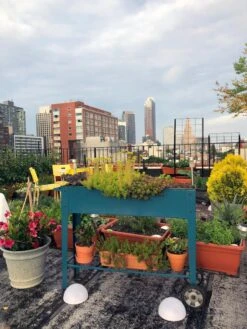 Demeter Mobile Planter Cart -GardenPro Shop 8594148 01CUST tif