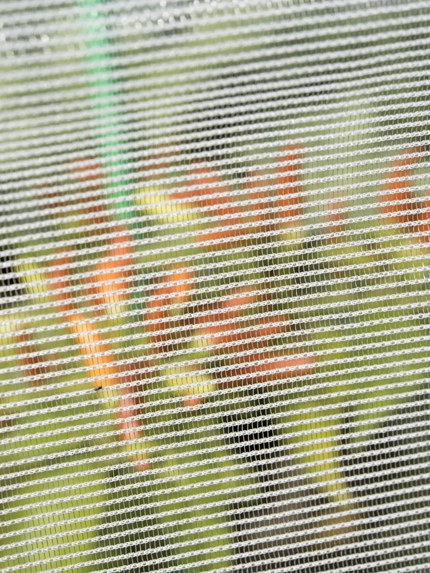 Bug Out Garden Insect Screen, 6-1/2' X 20' 2 Bug Out Garden Insect Screen, 6-1/2' X 20' - Image 2