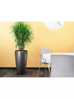 Lechuza® Rondo Self-Watering Planters -GardenPro Shop 8594586 02V tif