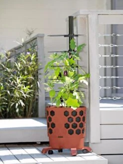 Gardener's Revolution® Tomato Planter 7 Gardener's Revolution® Tomato Planter -GardenPro Shop 8594743 2618 tif