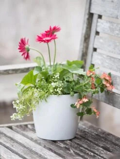 Viva Round Self-Watering Planter, 7" Diameter 8 Viva Round Self-Watering Planter, 7" Diameter -GardenPro Shop 8595222 1139 tif