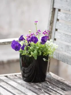 Viva Round Self-Watering Planter, 7" Diameter 9 Viva Round Self-Watering Planter, 7" Diameter -GardenPro Shop 8595222 1140 tif